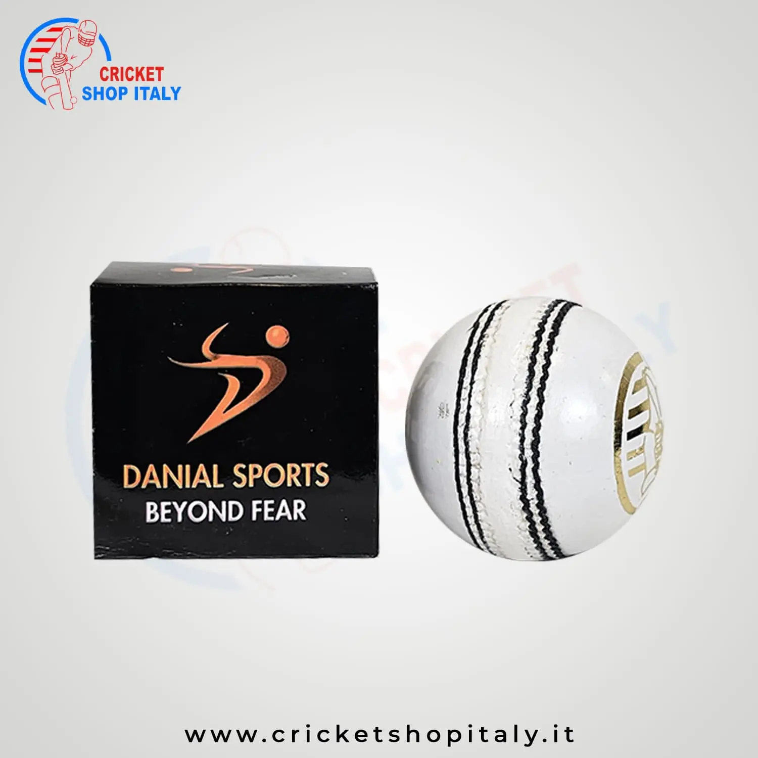 DS T 20 Cricket Ball (12 Balls) - Image 4